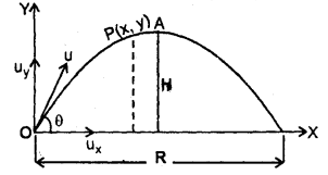 Class 11 Physics Important Questions Chapter 4 Motion in a Plane 42