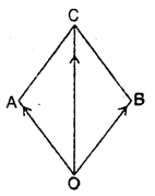 Class 11 Physics Important Questions Chapter 4 Motion in a Plane 7