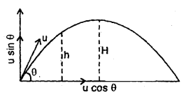 Class 11 Physics Important Questions Chapter 4 Motion in a Plane 88