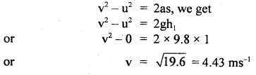 Class 11 Physics Important Questions Chapter 5 Laws of Motion 41