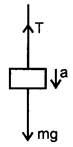 Class 11 Physics Important Questions Chapter 5 Laws of Motion 64