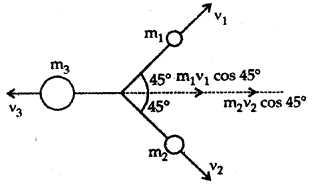 Class 11 Physics Important Questions Chapter 5 Laws of Motion 69