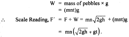 Class 11 Physics Important Questions Chapter 5 Laws of Motion 75