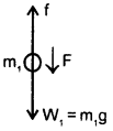 Class 11 Physics Important Questions Chapter 5 Laws of Motion 8