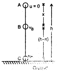 Class 11 Physics Important Questions Chapter 6 Work, Energy and Power 16