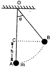 Class 11 Physics Important Questions Chapter 6 Work, Energy and Power 24