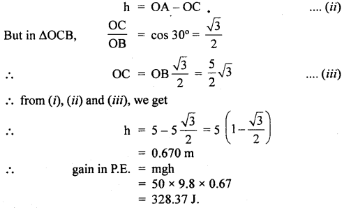 Class 11 Physics Important Questions Chapter 6 Work, Energy and Power 25