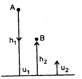 Class 11 Physics Important Questions Chapter 6 Work, Energy and Power 33