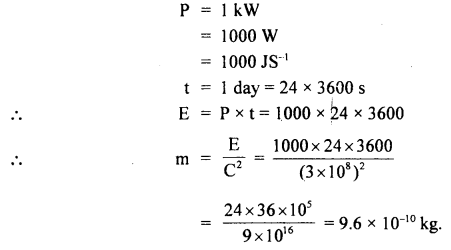 Class 11 Physics Important Questions Chapter 6 Work, Energy and Power 40