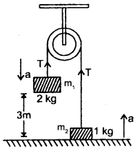 Class 11 Physics Important Questions Chapter 6 Work, Energy and Power 44