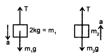 Class 11 Physics Important Questions Chapter 6 Work, Energy and Power 45