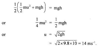 Class 11 Physics Important Questions Chapter 6 Work, Energy and Power 55