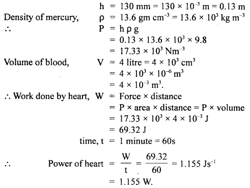 Class 11 Physics Important Questions Chapter 6 Work, Energy and Power 56