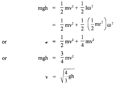 Class 11 Physics Important Questions Chapter 7 System of Particles and Rotational Motion 16