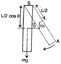 Class 11 Physics Important Questions Chapter 7 System of Particles and Rotational Motion 43