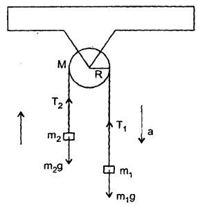 Class 11 Physics Important Questions Chapter 7 System of Particles and Rotational Motion 49