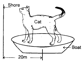 Class 11 Physics Important Questions Chapter 7 System of Particles and Rotational Motion 73