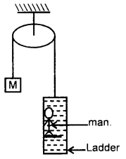 Class 11 Physics Important Questions Chapter 7 System of Particles and Rotational Motion 74