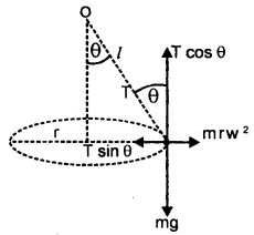 Class 11 Physics Important Questions Chapter 7 System of Particles and Rotational Motion 75