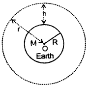 Class 11 Physics Important Questions Chapter 8 Gravitation 27