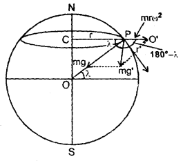 Class 11 Physics Important Questions Chapter 8 Gravitation 45