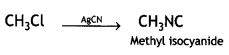 Class 12 Chemistry Important Questions Chapter 10 Haloalkanes and Haloarenes 107