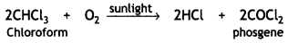 Class 12 Chemistry Important Questions Chapter 10 Haloalkanes and Haloarenes 21