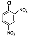 Class 12 Chemistry Important Questions Chapter 10 Haloalkanes and Haloarenes 22