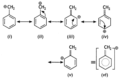 Class 12 Chemistry Important Questions Chapter 10 Haloalkanes and Haloarenes 28