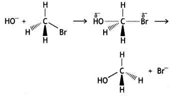 Class 12 Chemistry Important Questions Chapter 10 Haloalkanes and Haloarenes 29