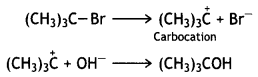 Class 12 Chemistry Important Questions Chapter 10 Haloalkanes and Haloarenes 30