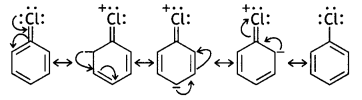 Class 12 Chemistry Important Questions Chapter 10 Haloalkanes and Haloarenes 31