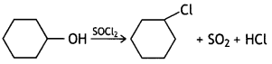 Class 12 Chemistry Important Questions Chapter 10 Haloalkanes and Haloarenes 35