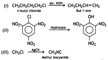 Class 12 Chemistry Important Questions Chapter 10 Haloalkanes and Haloarenes 51