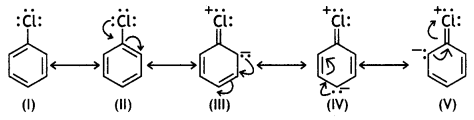 Class 12 Chemistry Important Questions Chapter 10 Haloalkanes and Haloarenes 52