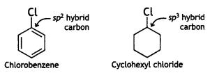 Class 12 Chemistry Important Questions Chapter 10 Haloalkanes and Haloarenes 53