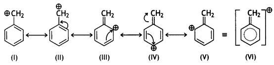 Class 12 Chemistry Important Questions Chapter 10 Haloalkanes and Haloarenes 57