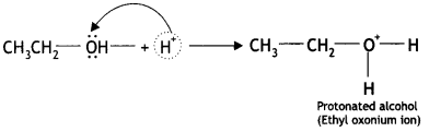 Class 12 Chemistry Important Questions Chapter 11 Alcohols, Phenols and Ethers 25