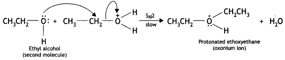 Class 12 Chemistry Important Questions Chapter 11 Alcohols, Phenols and Ethers 69