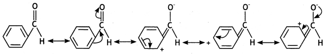 Class 12 Chemistry Important Questions Chapter 12 Aldehydes, Ketones and Carboxylic Acids 129