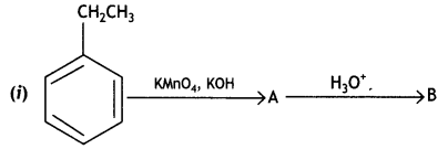 Class 12 Chemistry Important Questions Chapter 12 Aldehydes, Ketones and Carboxylic Acids 16