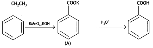 Class 12 Chemistry Important Questions Chapter 12 Aldehydes, Ketones and Carboxylic Acids 17