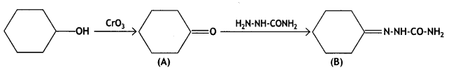 Class 12 Chemistry Important Questions Chapter 12 Aldehydes, Ketones and Carboxylic Acids 19