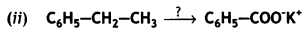 Class 12 Chemistry Important Questions Chapter 12 Aldehydes, Ketones and Carboxylic Acids 22