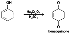 Class 12 Chemistry Important Questions Chapter 12 Aldehydes, Ketones and Carboxylic Acids 65