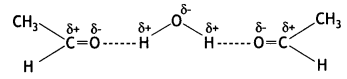 Class 12 Chemistry Important Questions Chapter 12 Aldehydes, Ketones and Carboxylic Acids 9