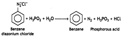 Class 12 Chemistry Important Questions Chapter 13 Amines 10