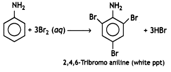 Class 12 Chemistry Important Questions Chapter 13 Amines 11