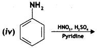 Class 12 Chemistry Important Questions Chapter 13 Amines 112