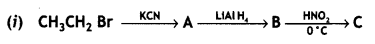 Class 12 Chemistry Important Questions Chapter 13 Amines 12